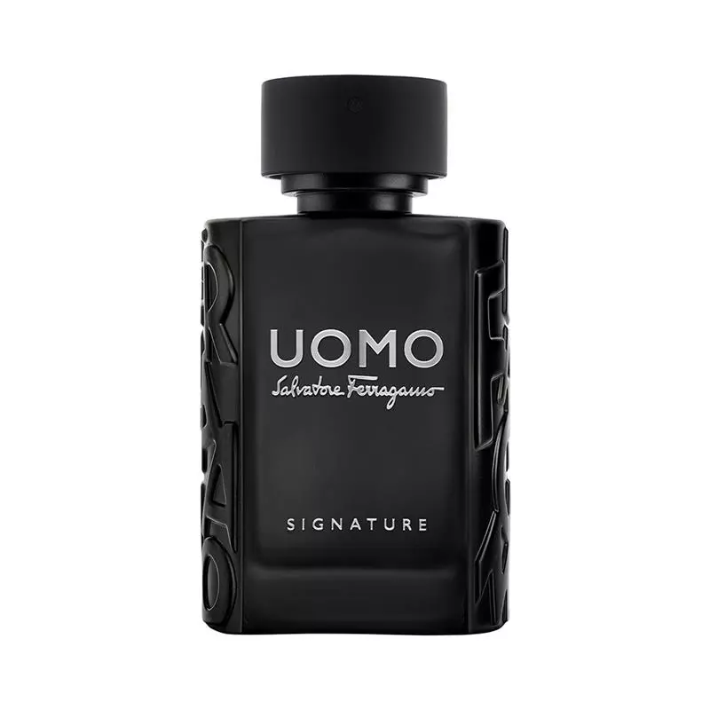 Salvatore Ferragamo Uomo Signature For Men EDT