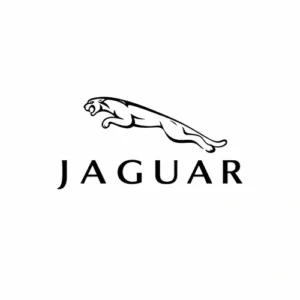 Jaguar - جگوار