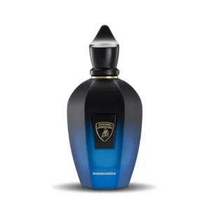 Xerjoff Avanguardia For Men Parfum